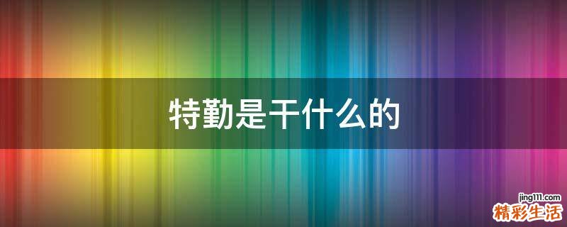 特勤是干什么的