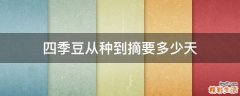 四季豆从种到摘要多少天