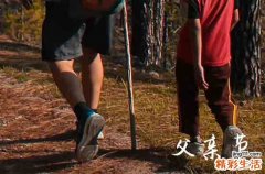 2023年父亲节祝福语言父亲节赞扬父亲的祝福词