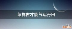 怎样做才能气运丹田