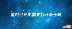 蓄电池充电需要打开盖子吗