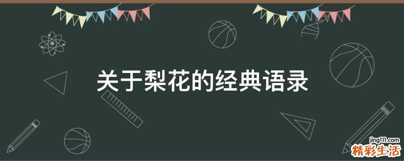 关于梨花的经典语录
