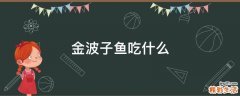金波子鱼吃什么