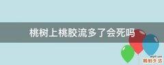 桃树上桃胶流多了会死吗