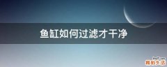 鱼缸如何过滤才干净