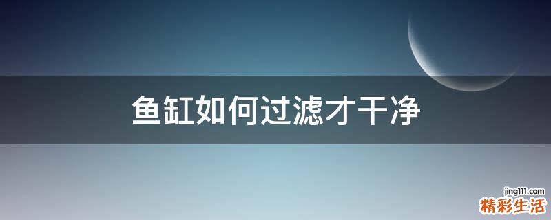 鱼缸如何过滤才干净