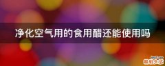 净化空气用的食用醋还能使用吗
