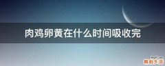 肉鸡卵黄在什么时间吸收完