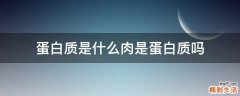 蛋白质是什么肉是蛋白质吗