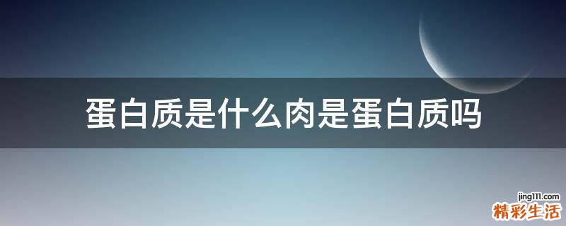 蛋白质是什么肉是蛋白质吗