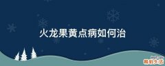火龙果黄点病如何治