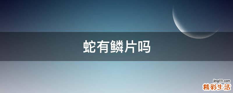 蛇有鳞片吗