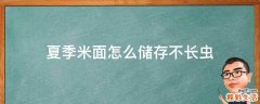 夏季米面怎么储存不长虫