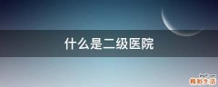什么是二级医院