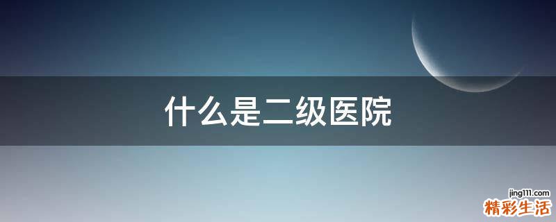 什么是二级医院