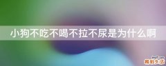 小狗不吃不喝不拉不尿是为什么啊