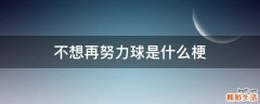 不想再努力球是什么梗