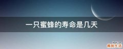 一只蜜蜂的寿命是几天