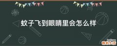 蚊子飞到眼睛里会怎么样
