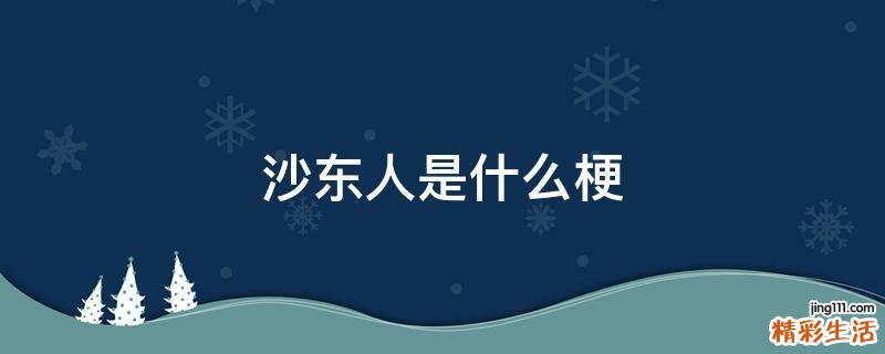 沙东人是什么梗
