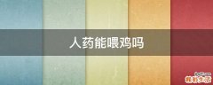 人药能喂鸡吗