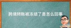 跨境转账被冻结了是怎么回事