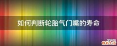 如何判断轮胎气门嘴的寿命
