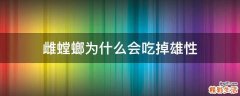 雌螳螂为什么会吃掉雄性