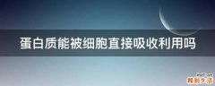 蛋白质能被细胞直接吸收利用吗