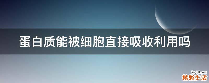 蛋白质能被细胞直接吸收利用吗