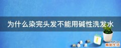 为什么染完头发不能用碱性洗发水