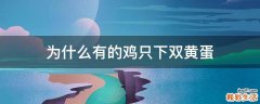 为什么有的鸡只下双黄蛋