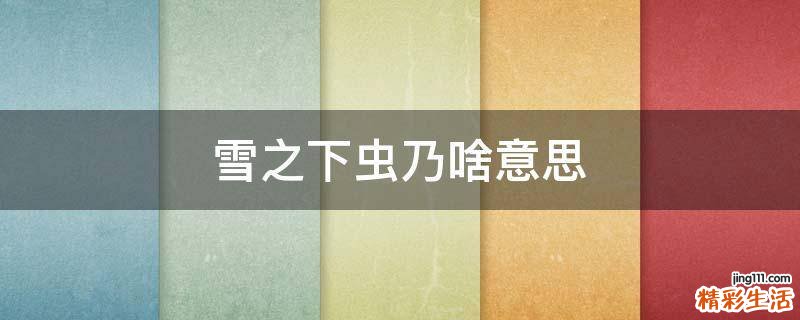雪之下虫乃啥意思