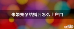 未婚先孕结婚后怎么上户口