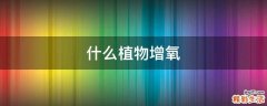 什么植物增氧