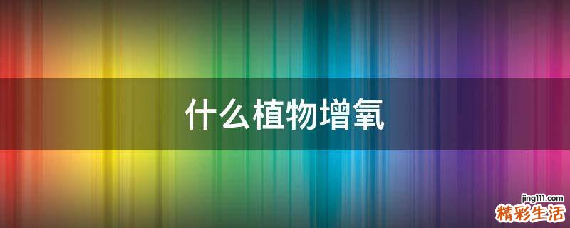 什么植物增氧