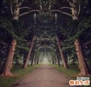 怎么跑步才不伤膝盖