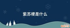 紫苏梗是什么