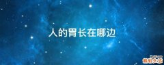 人的胃长在哪边