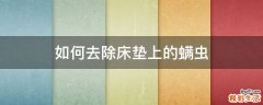 如何去除床垫上的螨虫
