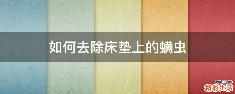 如何去除床垫上的螨虫