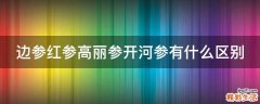 边参红参高丽参开河参有什么区别