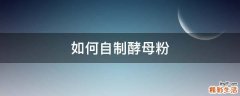 如何自制酵母粉