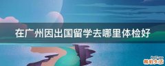 在广州因出国留学去哪里体检好