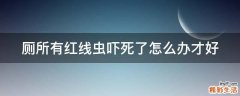厕所有红线虫吓死了怎么办才好