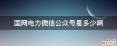 国网电力微信公众号是多少啊