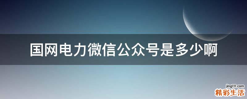 国网电力微信公众号是多少啊