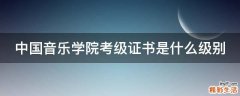 中国音乐学院考级证书是什么级别