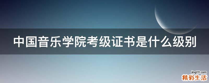 中国音乐学院考级证书是什么级别