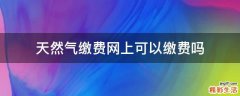 天然气缴费网上可以缴费吗